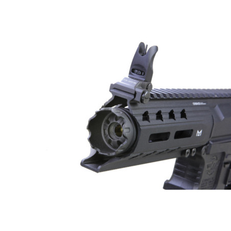 G&G AEG Rifle ARP556 V2S