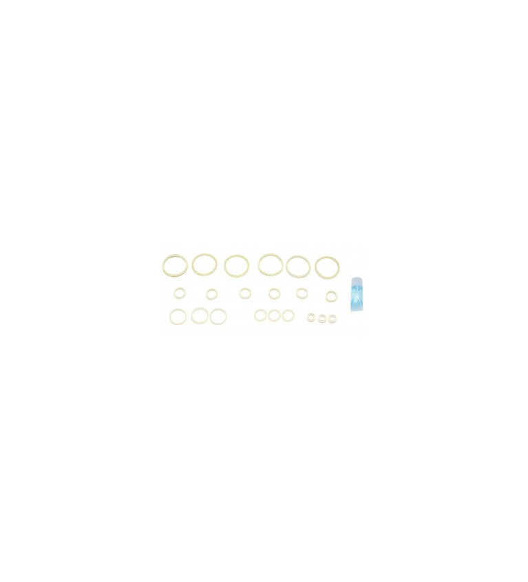 APS CO2 charger repairing O-Ring