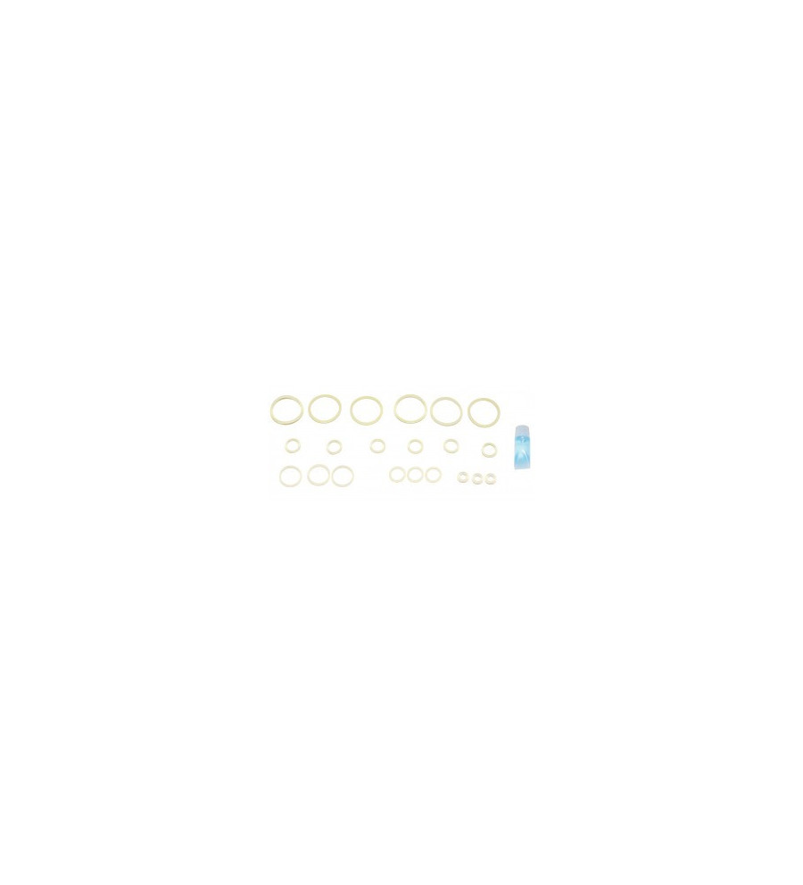 APS CO2 charger repairing O-Ring