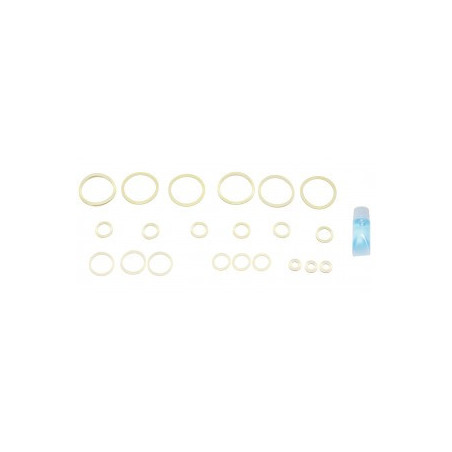 APS CO2 charger repairing O-Ring